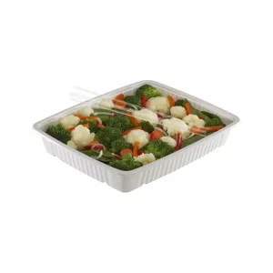 Gastropack PP Blanc GN1/4 H7.5cm Thermocel.